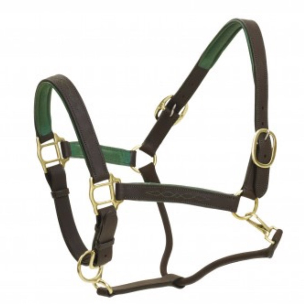 Ovation luxury leather halter HORSE size- choice of color - Picture 3 of 10